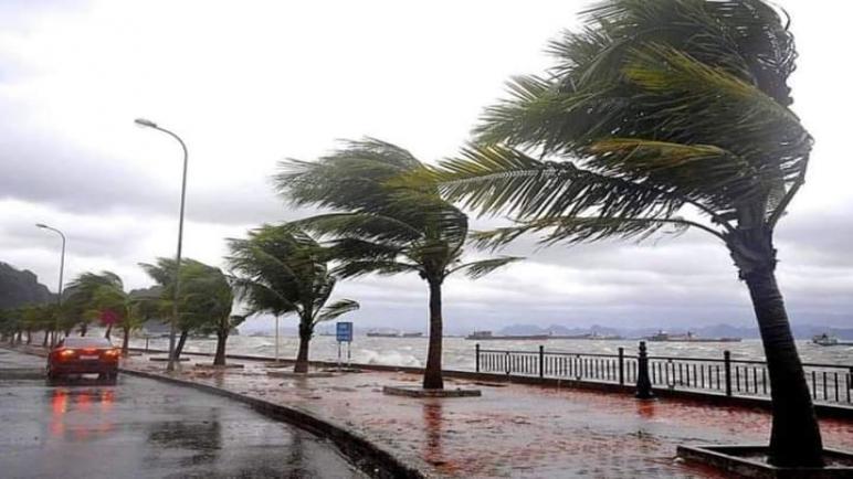 نشرة إنذارية: تساقطات مطرية رعدية قوية مع هبات رياح بمنطقة طنجة